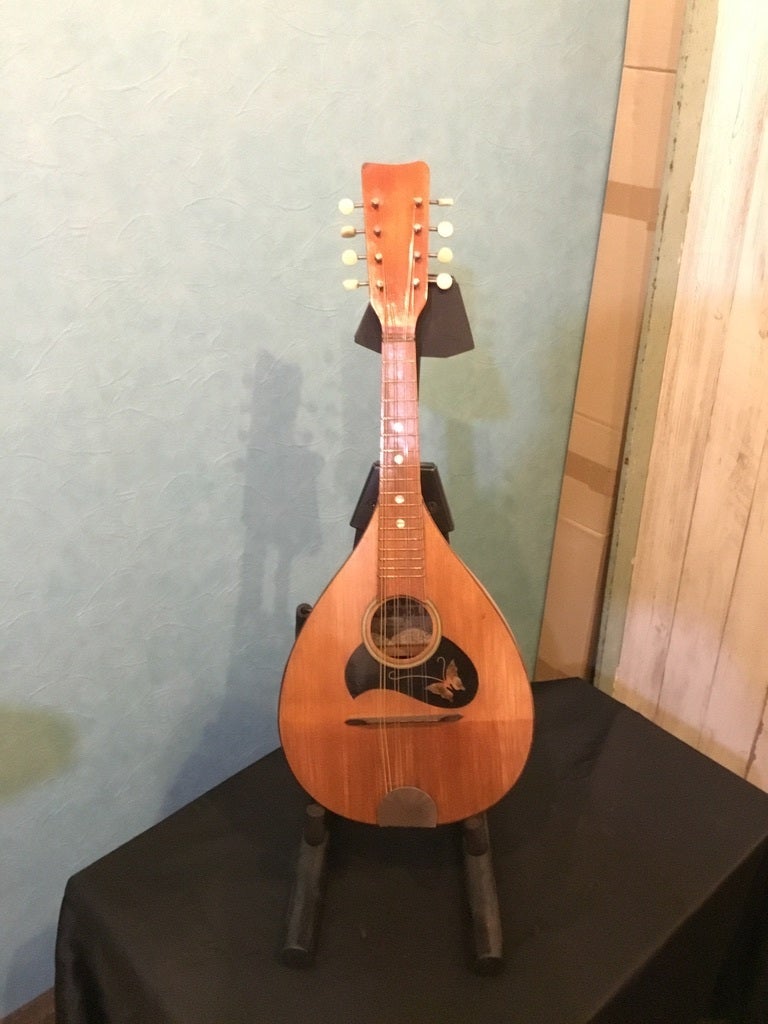 BlueBell F-10 フラットマンドリン フジゲン楽器 ハードケース付