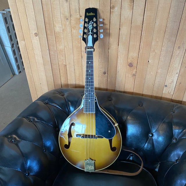 Epiphone MM-50E エレキ マンドリン エピフォン ハードケース