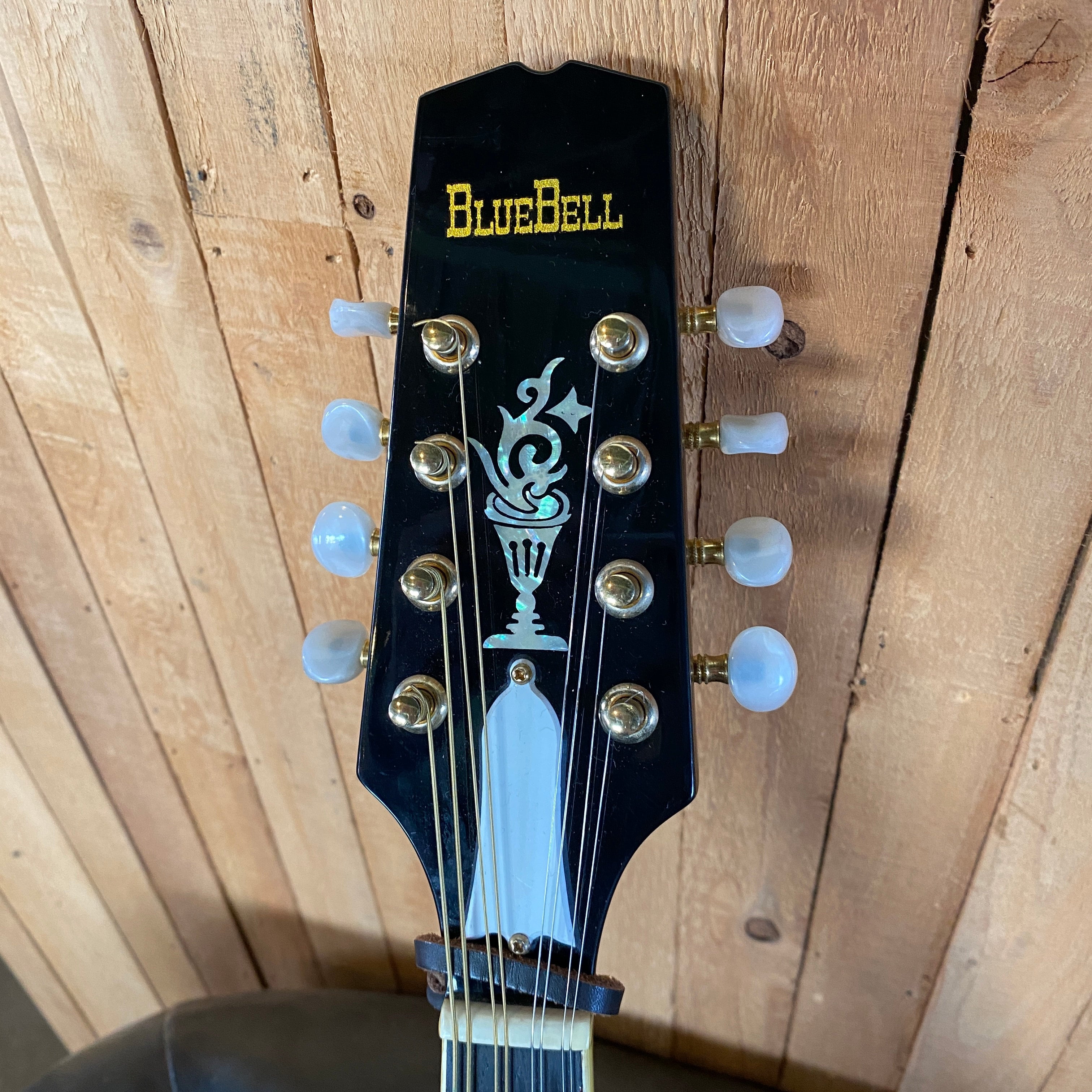 フラットマンドリン BlueBell （中古品） | DulciCraft Store-site