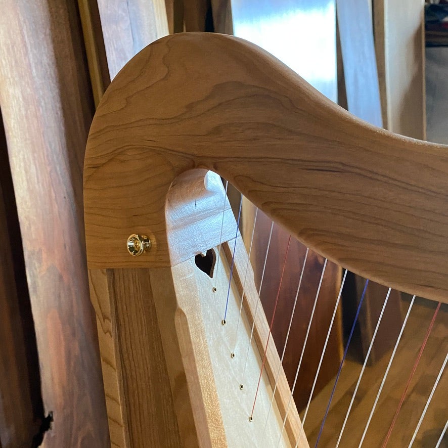 アイリッシュハープ Stoney End Harps EVE 22弦