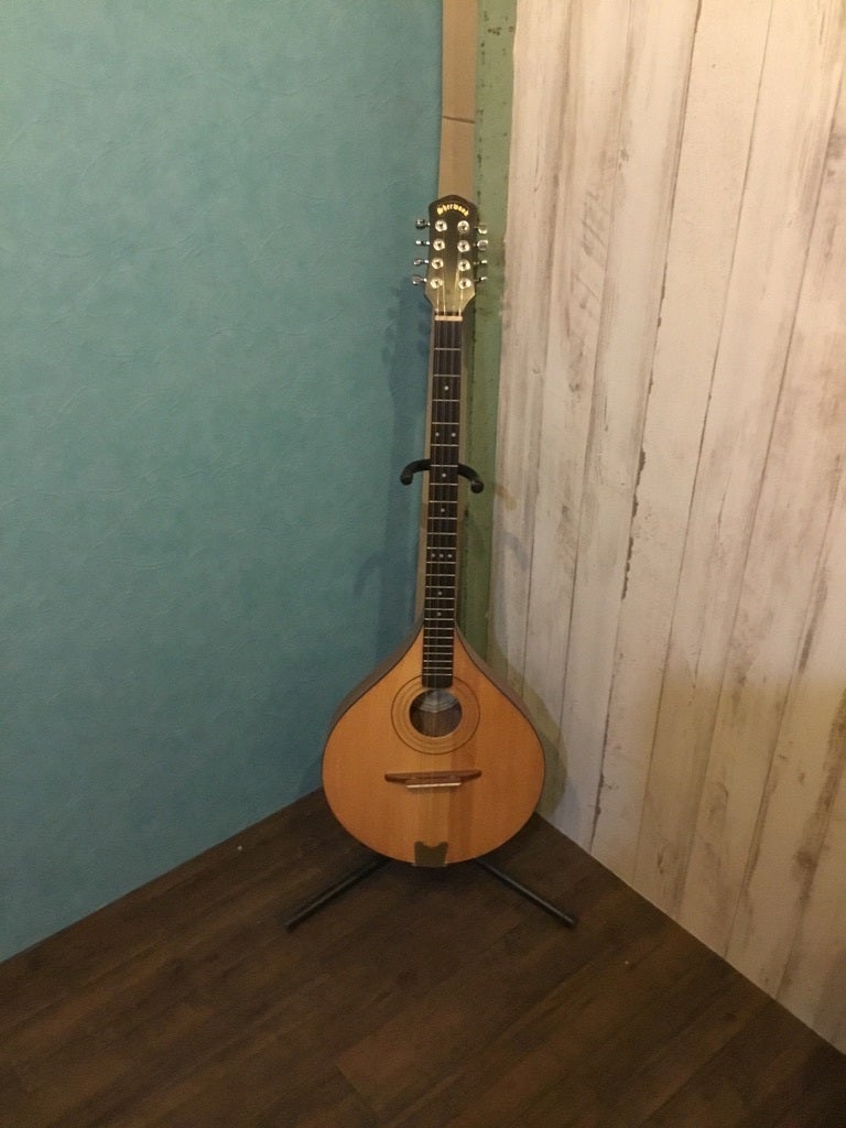 Hora (M-1089)IRISH BOUZOUKI アイリッシュブズーキ マンドリンギター - 楽器、器材